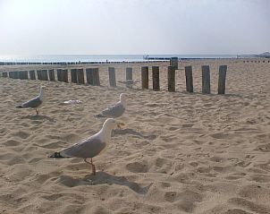 Mooie stranden nabij Vakantieverblijf Uit en Thuis in Biggekerke, Walcheren.
