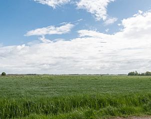 Groene omgeving rondom Vakantiehuisje in Hansweert, perfect voor natuurliefhebbers, Zuid-Beveland, Zeeland.