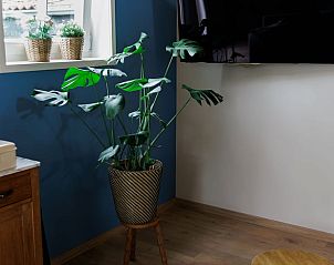 Sfeervolle woonkamerhoek in Vakantiehuis in Lewedorp, Zuid-Beveland met kamerplant en moderne inrichting.