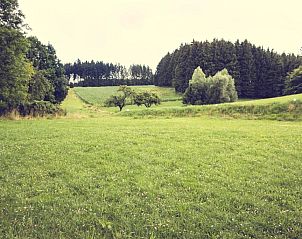 Guest house 64603302 - Apartment Bavaria - Land-gut-Hotel Gasthof Waldschnke