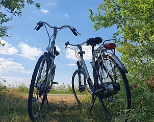Fietsen in de natuur rondom Huisje in Brandwijk, Alblasserwaard, ideaal voor verkenningstochten.