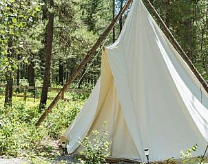 Unterkunft 6525801 - Appartement Rocky Mountains - Under Canvas Glacier