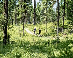 Unterkunft 6525801 - Appartement Rocky Mountains - Under Canvas Glacier