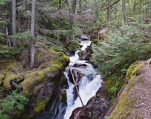 Unterkunft 6525801 - Appartement Rocky Mountains - Under Canvas Glacier
