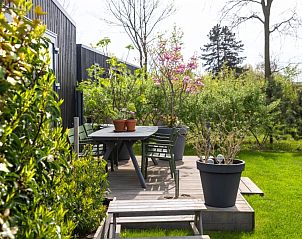 Guest house 6601297 - Holiday property Goeree-Overflakkee - Cabin, Grote Stern 16, Ouddorp