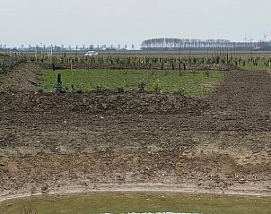 View of the fields surrounding Cottage in Sommeldsijk, a vacation home in quiet Sommelsdijk, Goeree-Overflakkee.