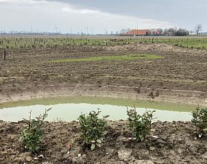 Natural pond at Huisje in Sommeldsijk, a vacation accommodation in Sommelsdijk, Goeree-Overflakkee surrounded by greenery.