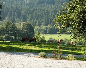 Unterkunft 66803301 - Appartement Bayern - Landhotel Bayerwald