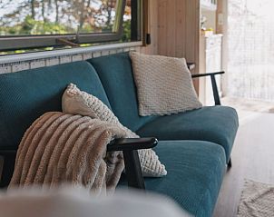 Bloeiende planten in de tuin van Vakantiehuis in Hazerswoude-Dorp, Groene Hart.