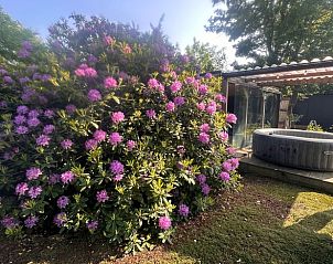 Bubbelbad in de tuin van Huisje in Zevenhoven, vakantieverblijf in Zuid-Holland