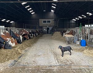 Guest house 673008 - Holiday property Groene hart - Vakantiehuisje in Leidschendam