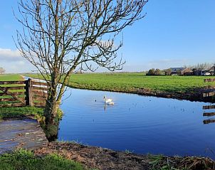 Rustige waterkant bij Vakantiehuis in Bergambacht, Groene Hart, Zuid-Holland.