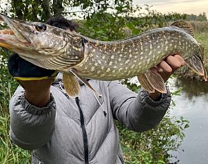 Visvangst bij Vakantiehuis in Bergambacht, Groene Hart, Zuid-Holland.