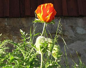 Guest house 7517303 - Apartment Gtaland - STF Hostel Sdra Ljunga