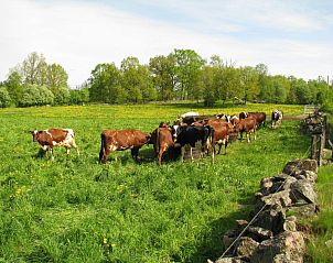 Guest house 7517303 - Apartment Gtaland - STF Hostel Sdra Ljunga