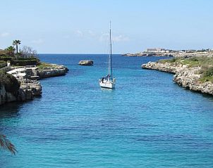 Verblijf 7716006 • Vakantie appartement Mallorca • Cala Bona y Mar Blava 