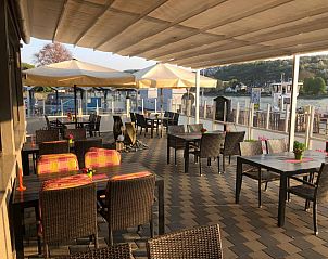 Guest house 8302703 - Apartment Rhineland-Palatinate - Hotel Rhein INN