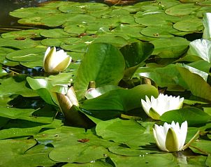 Verblijf 8721101 - Vakantie appartement Het groene Spanje - Jardin de Carrejo
