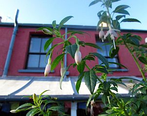 Guest house 8906702 • Bed and Breakfast Wales • Western House 