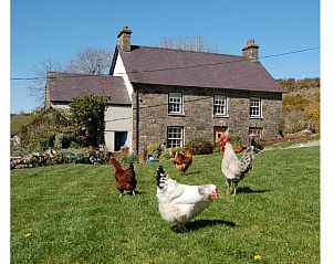 Guest house 9306702 • Holiday property Wales • Nantgwynfaen Organic Farm Wales 