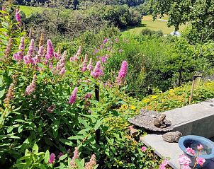 Guest house 9901926 - Holiday property Eifel / Mosel / Hunsrueck - Zonneheuvel