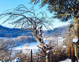 Guest house 9901926 - Holiday property Eifel / Mosel / Hunsrueck - Zonneheuvel