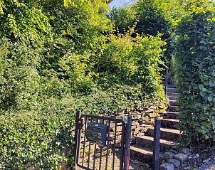 Guest house 9901926 - Holiday property Eifel / Mosel / Hunsrueck - Zonneheuvel