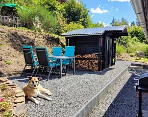 Guest house 9901926 - Holiday property Eifel / Mosel / Hunsrueck - Zonneheuvel