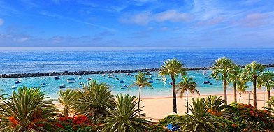 Canary Islands