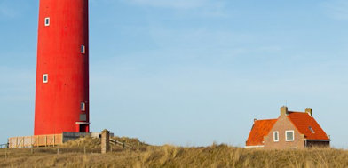 Texel